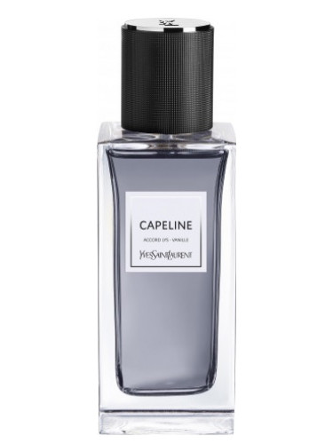 Capeline Yves Saint Laurent