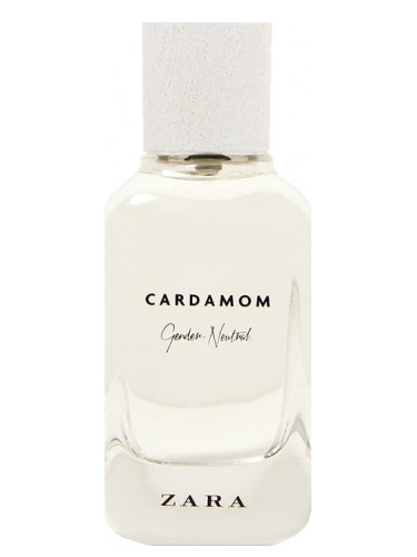 Cardamom – Gender Neutral Zara