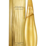 Image for Cashmere Mist Gold Essence Donna Karan