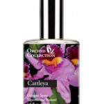 Image for Cattleya Orchid Demeter Fragrance