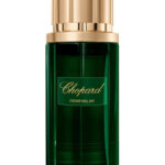 Image for Cedar Malaki Chopard