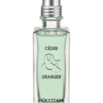 Image for Cèdre & Oranger L’Occitane en Provence