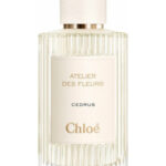 Image for Cedrus Chloé