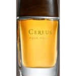 Image for Cereus No.11 Cereus