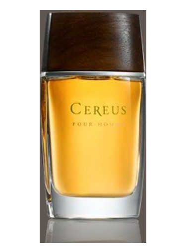 Cereus No.11 Cereus
