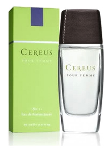 Cereus No.12 Cereus