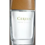 Image for Cereus No.4 Cereus