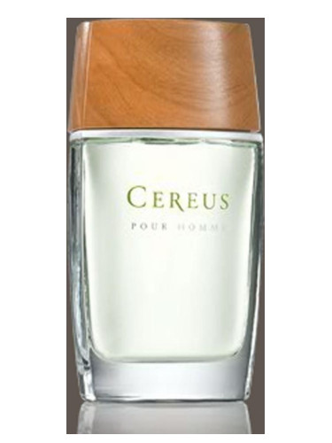 Cereus No.5 Cereus