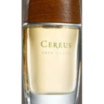 Image for Cereus No.7 Cereus