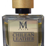 Image for Chilean Leather Casaniche