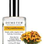 Image for Chrysanthemum Demeter Fragrance