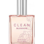 Image for Clean Blossom Clean