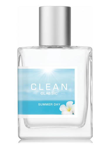 Clean Classic Summer Day Clean