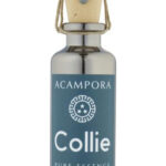 Image for Collie Pure Essence Bruno Acampora