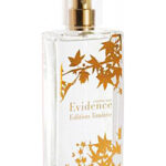 Image for Comme Une Evidence Limited Edition 2008 Yves Rocher