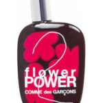 Image for Comme des Garcons 2 Flower Power Comme des Garcons