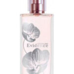 Image for Comme une Evidence Limited Edition 2010 Yves Rocher