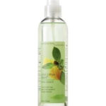 Image for Cool Citrus Basil Bath & Body Works