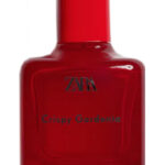 Image for Crispy Gardenia Zara