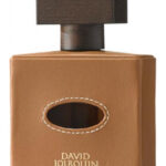 Image for Cuir Tabac David Jourquin