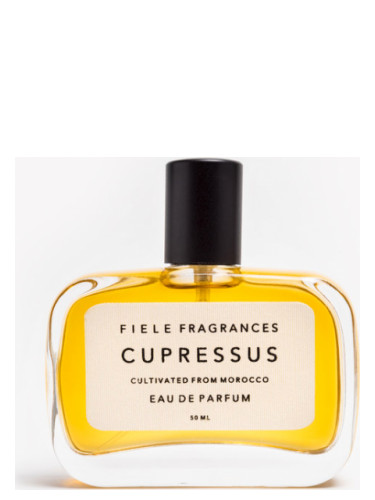 Cupressus Fiele Fragrances