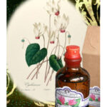 Image for Cyclamen Fragrifert Parfumeur