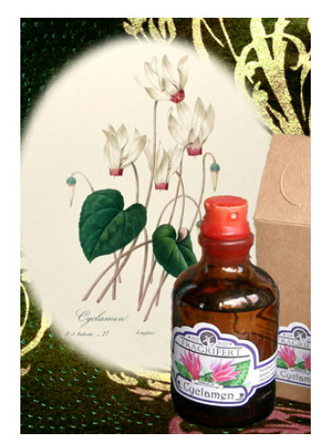 Cyclamen Fragrifert Parfumeur