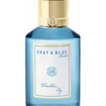 Image for Dandelion Fig Shay & Blue London