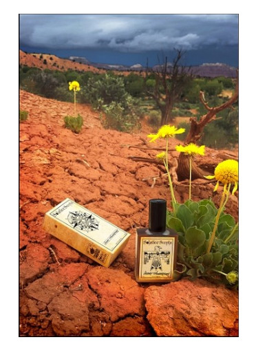 Desert Thunderstorm Solstice Scents