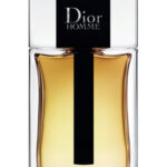 Image for Dior Homme 2020 Dior