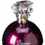 Image for Divine Elixir Yves d’Orgeval