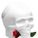 Image for Ed Hardy Skulls & Roses for Her Christian Audigier