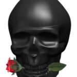 Image for Ed Hardy Skulls & Roses for Him Christian Audigier