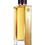 Image for Embruns d’Ylang Guerlain