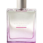 Image for Enchanted Orchid Bath & Body Works