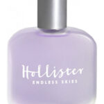 Image for Endless Skies Hollister