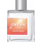 Image for Endless Summer Clean
