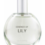 Image for Essence of Lily C&A