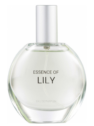 Essence of Lily C&A