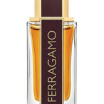 Image for Ferragamo Spicy Leather Salvatore Ferragamo