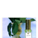 Image for Feuilles Vertes (Green Leaves) DSH Perfumes