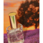 Image for Fiamme di Passione Francesco Vitelli Perfumes