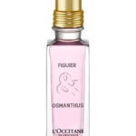 Image for Figuier & Osmanthus L’Occitane en Provence