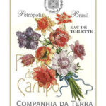 Image for Flores do Campo Companhia da Terra