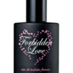 Image for Forbidden Love VOV