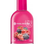 Image for Fruits Rouges Yves Rocher