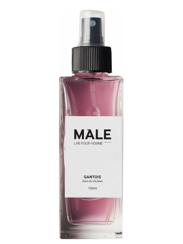 Gantois Male Lab Pour Homme