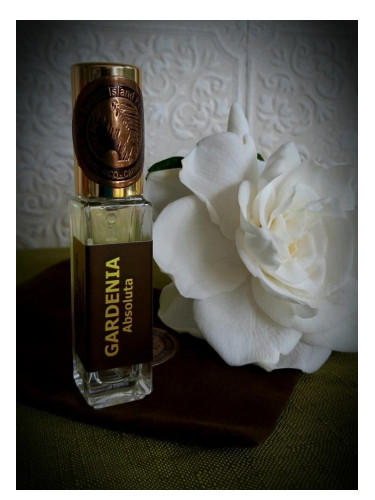 Gardenia Absoluta The Exotic Island Perfumer