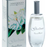 Image for Gardenia Amerigo