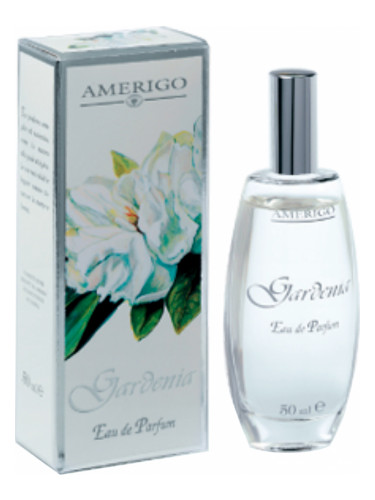 Gardenia Amerigo